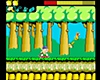 Wonder Boy gameplay screenshot featuring main character Wonder Boy travelling through a forest environment.