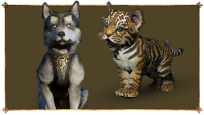 Diablo IV image of Hratli the Canine and Natalya the Tiger Pet
