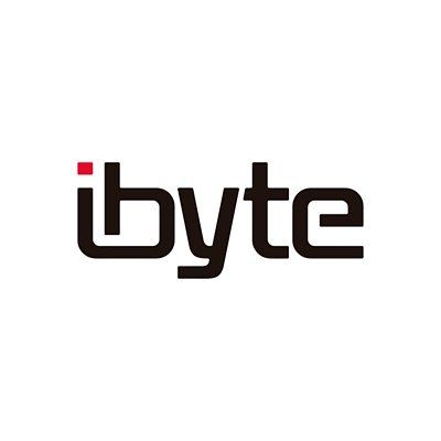 IBYTE