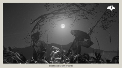 @Rolando Nikko Austria postcard image