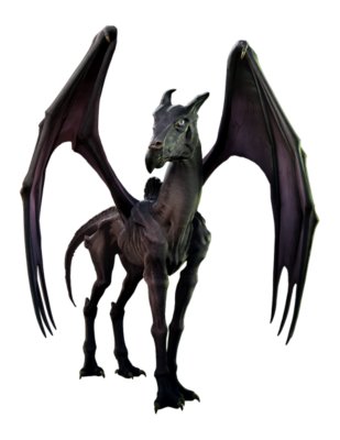 Hogwarts Legacy Thestral Mount