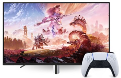 Horizon Forbidden West – Monitor und DualSense