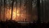 Life Is Strange 2-heldenillustratie - twee jongens lopen op een weg langs zonnestralen die door de bomen schijnen