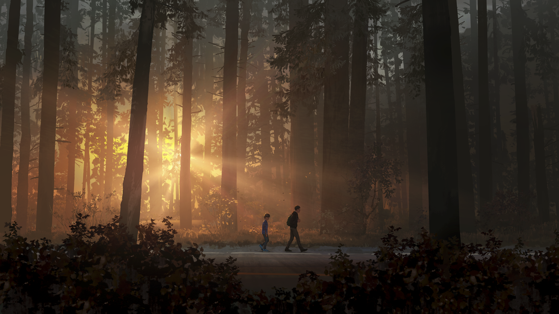 Life Is Strange 2 – hjältebild på två pojkar som går längs en väg med solstrålar som lyser genom skogen