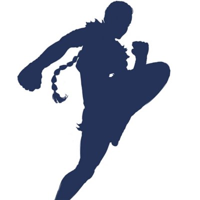 Silhouette of fighting character