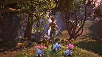 The Elder Scrolls IV: Oblivion Remastered – Screenshot mit Waldlandschaft