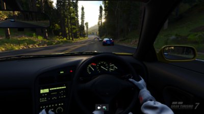 『グランツーリスモ７』の森のあるセクションを走行中の、ステアリングを握った手が見える、車の中から見たドライバーの一人称視点画像。