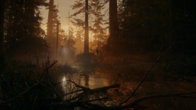 《Alan Wake 2》截屏：Saga Anderson用手电筒照着黄昏时分一处森林池塘的水面