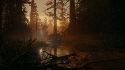 Alan Wake 2 screenshot showing Saga Anderson shining a torch over the water of a forest pond at sunset