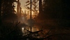 Capture d'écran d'Alan Wake 2 – dans une forêt, Saga Anderson éclaire de sa torche l'eau d'un étang au coucher du soleil