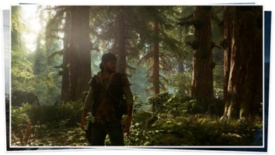 Days Gone – World Series: The Farewell Wilderness