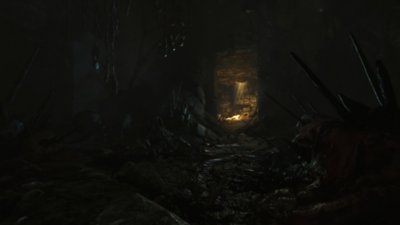 Amnesia: Rebirth - Capture d'écran de galerie 4