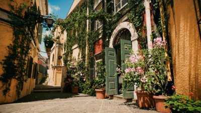 A quaint village street flanked by vine-covered buildings.