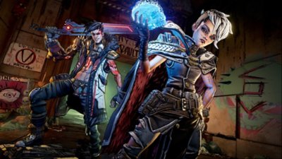 psn borderlands 3