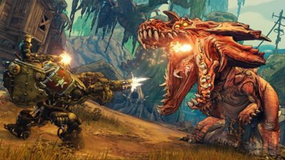 borderlands play 4
