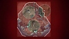 《使命召唤：战争地带》截屏，展示全新的生存圈收缩