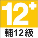 輔12級