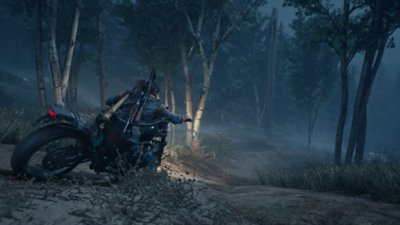 ภาพหน้าจอ days gone pc