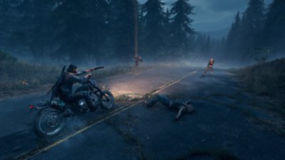 captura de pantalla days gone pc