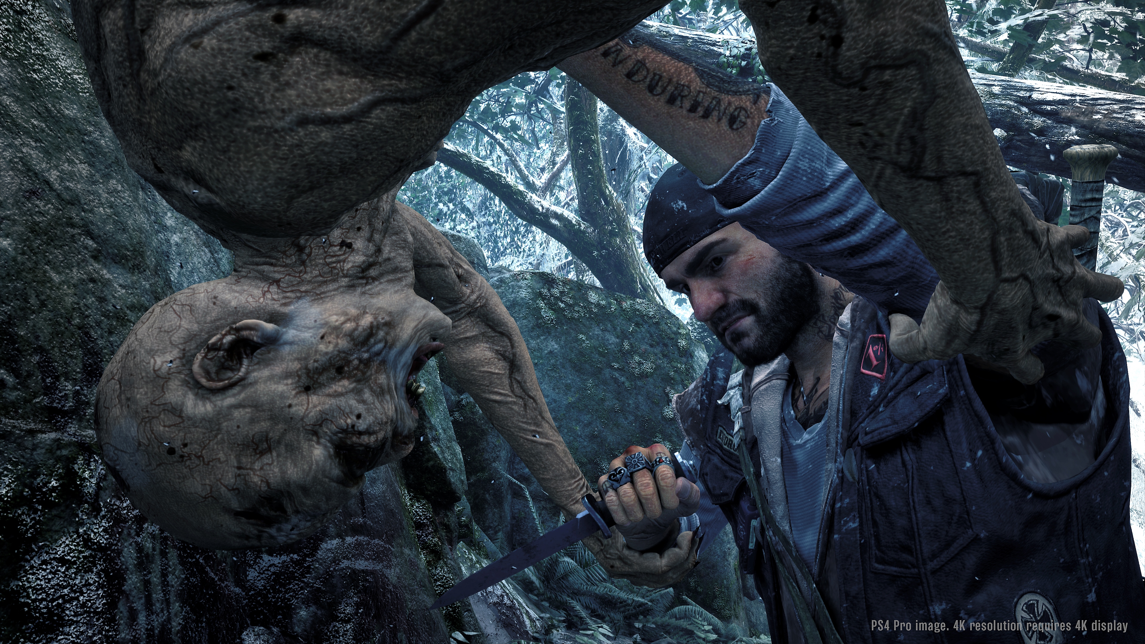 days gone screenshot