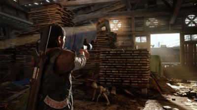 where to buy days gone