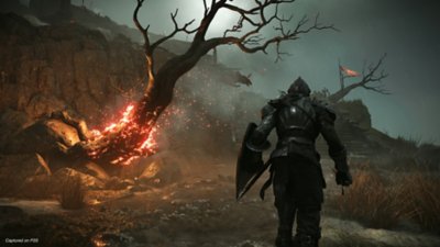 Captura de pantalla de Demon's Souls que muestra al jugador junto a un árbol en llamas con dos esqueletos por delante