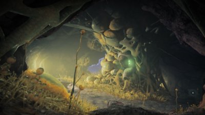 Destiny 2 : Les Confins du Destin – Capture d'écran mettant en scène un environnement caverneux et recouvert de plantes fongiques