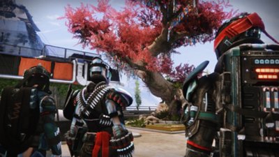 Destiny 2 screenshot showing three Guardians standing in front of a tree with pink blossom