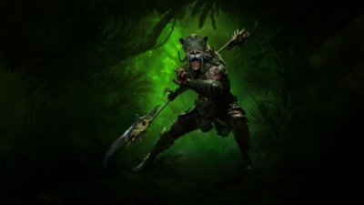 Diablo IV Spiritborn artwork showing the character class