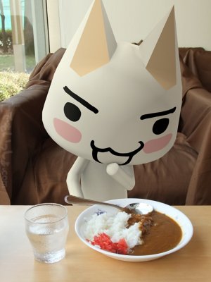  どこでもいっし.com ギャラリー5