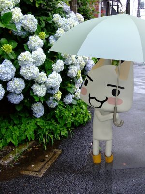  どこでもいっし.com ギャラリー7
