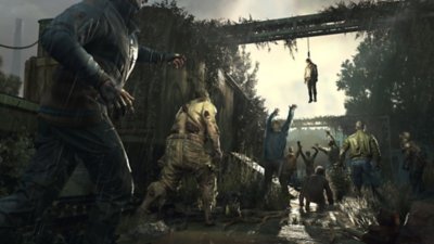 Dying Light: The Beast – Screenshot, auf dem eine Gruppe Infizierter versucht, eine erhängte Person zu fressen