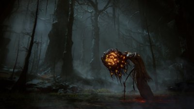 Elden Ring Shadow of the Erdtree – Capture d'écran montrant une scène de forêt effrayante avec un monstre à la tête bulbeuse et lumineuse