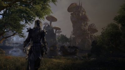 The Elder Scrolls Online - base game screenshot