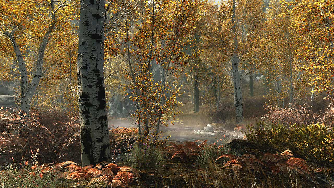 The Elder Scrolls V: Skyrim Special Edition ekran görüntüsü