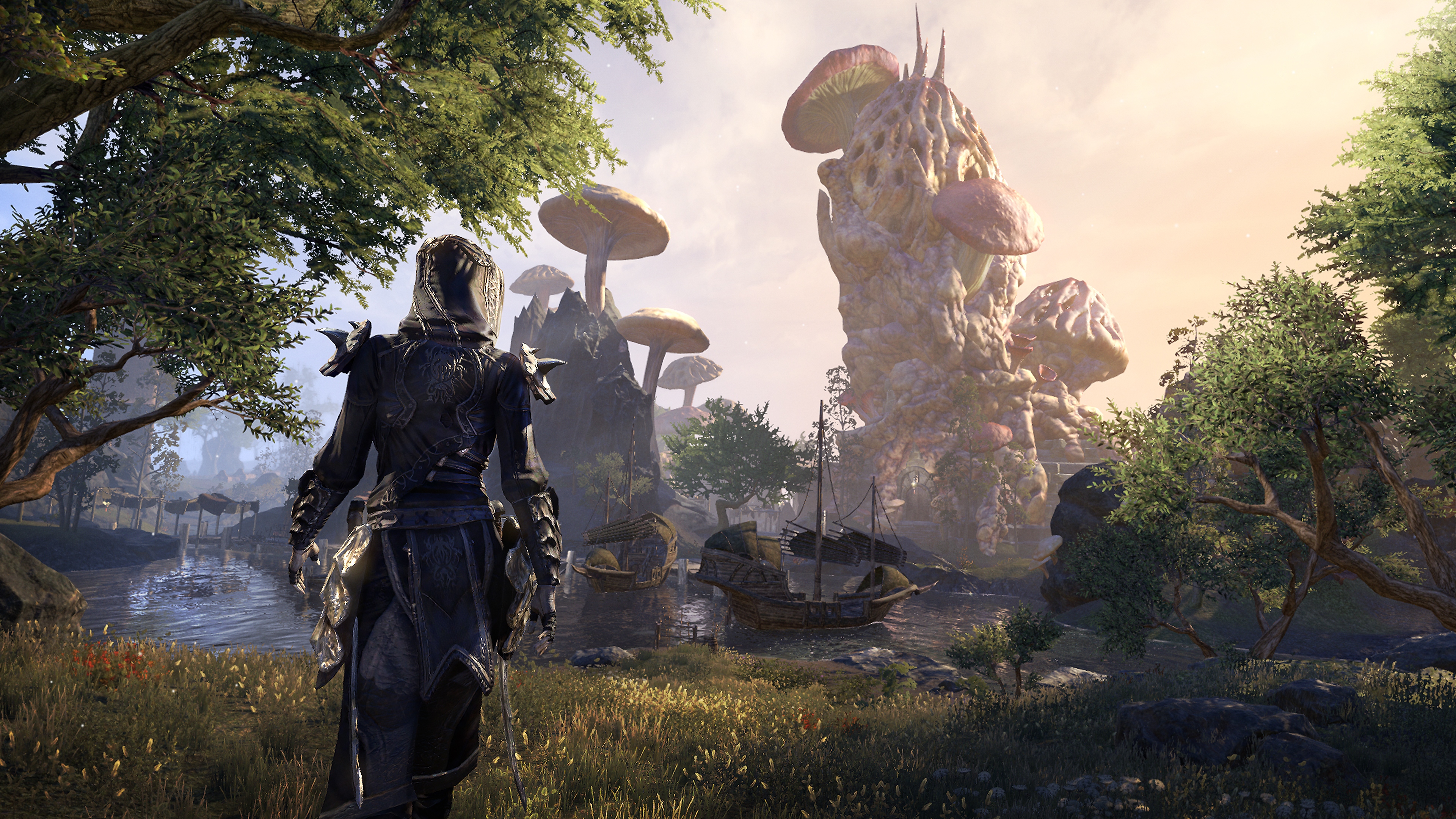 The Elder Scrolls Online – базовая версия игры – снимок экрана