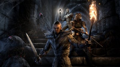 The Elder Scrolls Online – skärmbild från basspelet