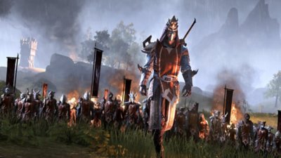 The Elder Scrolls Online – Capture d'écran montrant une armée sur un champ de bataille