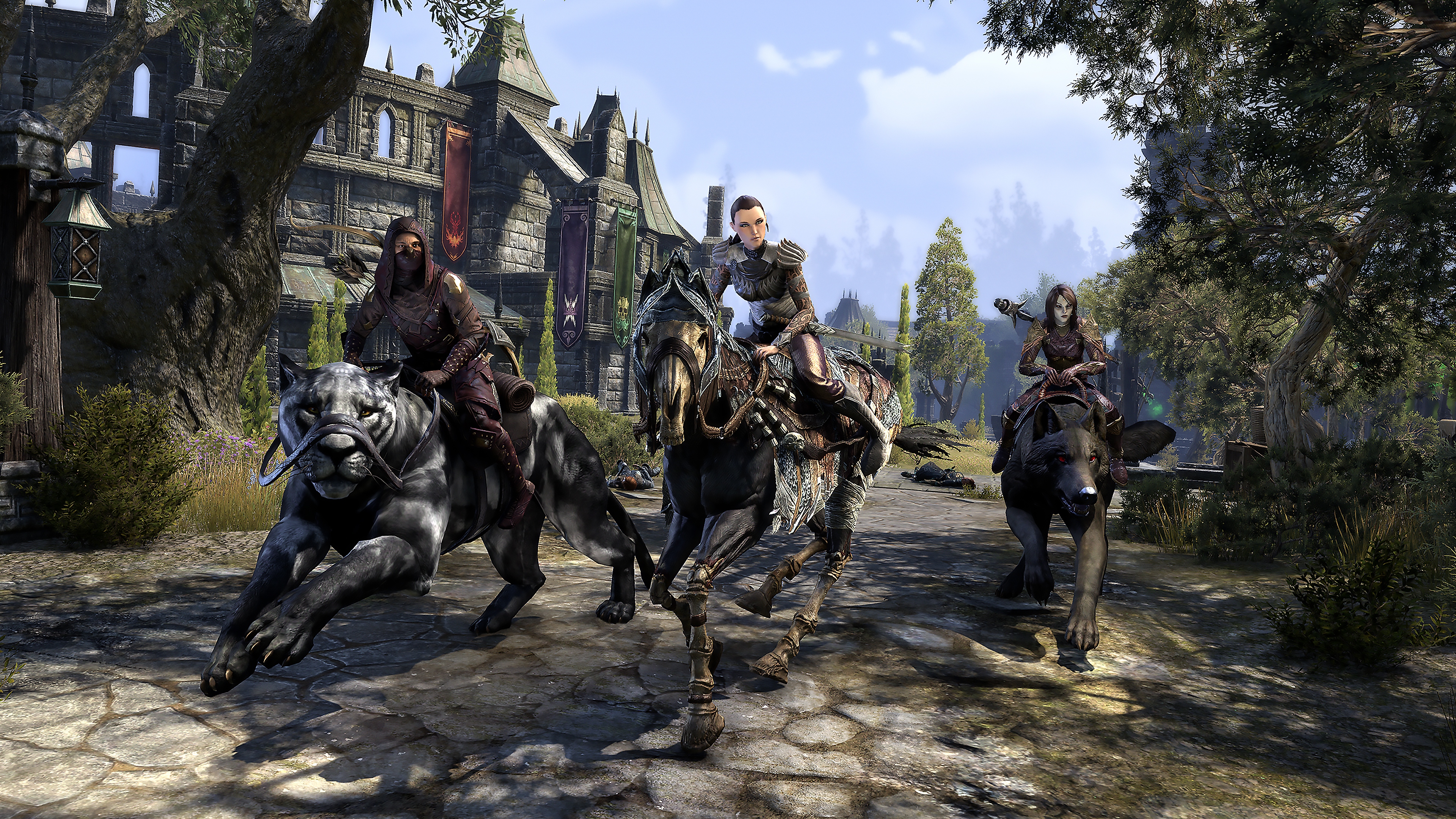 The Elder Scrolls Online - لقطة شاشة اللعبة الأساسية