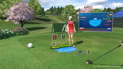 everybody's golf move controller