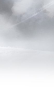 Decorative textured background in off-white.