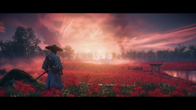 Ghost of Tsushima - Capture d'écran en jeu