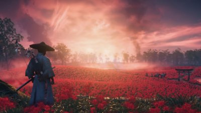 Gameplay screenshot from Ghost of Tsushima depicting Jin looking out over a huge meadow teeming with red flowers.