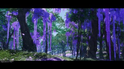 ghost of tsushima - foresta di alberi viola