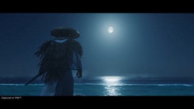 ghost of tsushima 月明りの下の砂浜