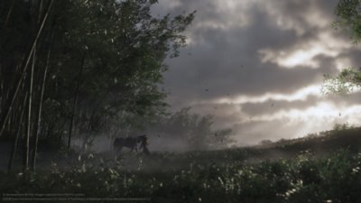 Capture d'écran de Ghost of Tsushima