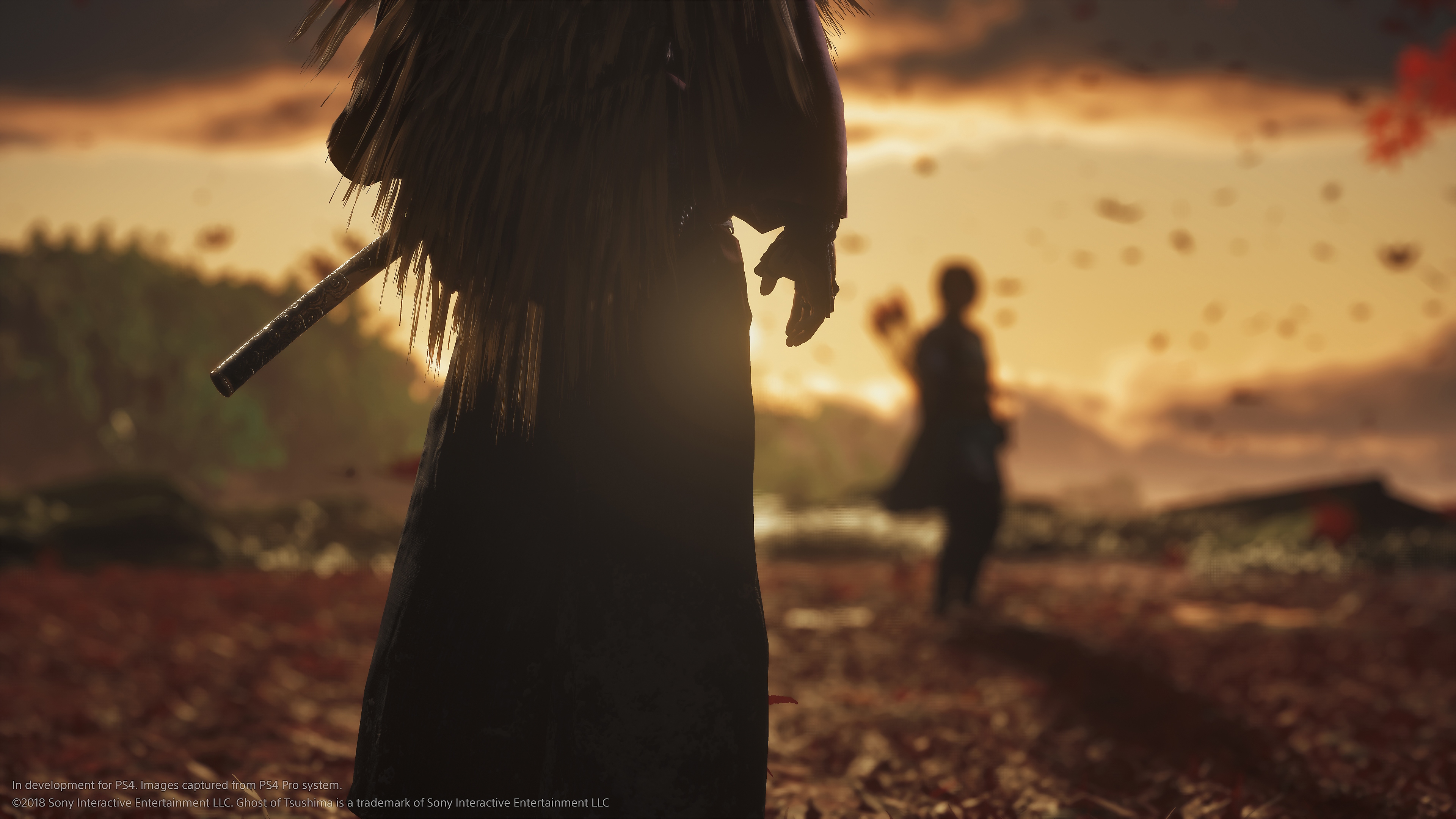 الصورة الفنية الأساسية للعبة شبح تسوشيما إصدار المخرج من Playstation Studios