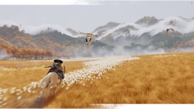 Gameplay screenshot from Ghost of Yōtei depicting Atsu sprinting across a golden field on horseback.