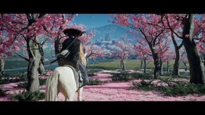 Cinematic screenshot from Ghost of Yōtei despicting Atsu wandering amid a copse of trees in stunning pink blossom.