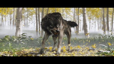 Cinematic screenshot from Ghost of Yōtei depicting a snarling wolf. 